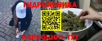 стаф Краснокаменск