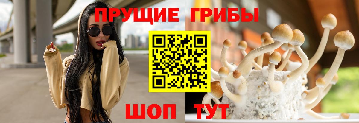 Псилоцибиновые грибы Psilocybe  Вход с VPN  Хабаровск 